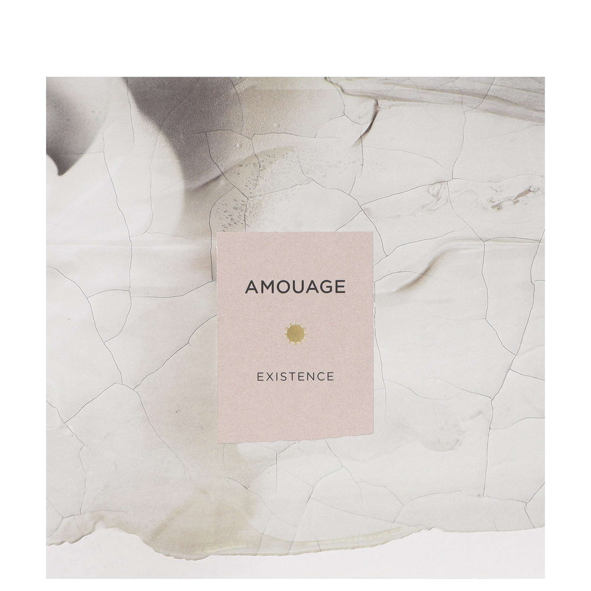 Amouage Womens Existence Eau de Parfum Spray 100ml - Rose - One