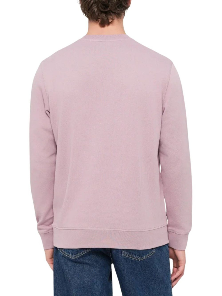 Purple Solid Crew Neck Sweatshirt