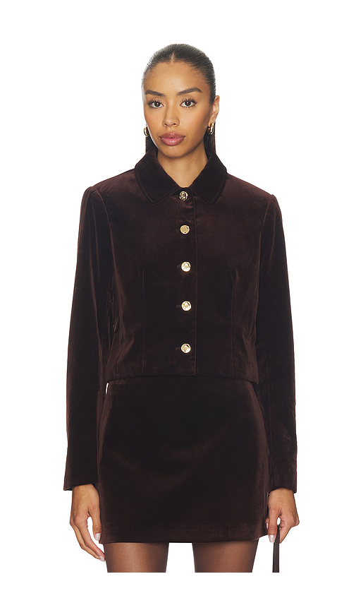 ASTR the Label Vox Jacket in Brown. - L also in XS