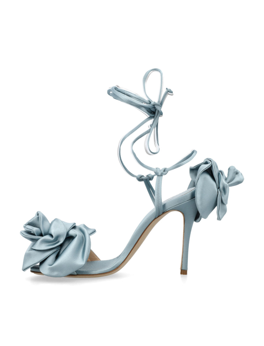 Sandal Roses