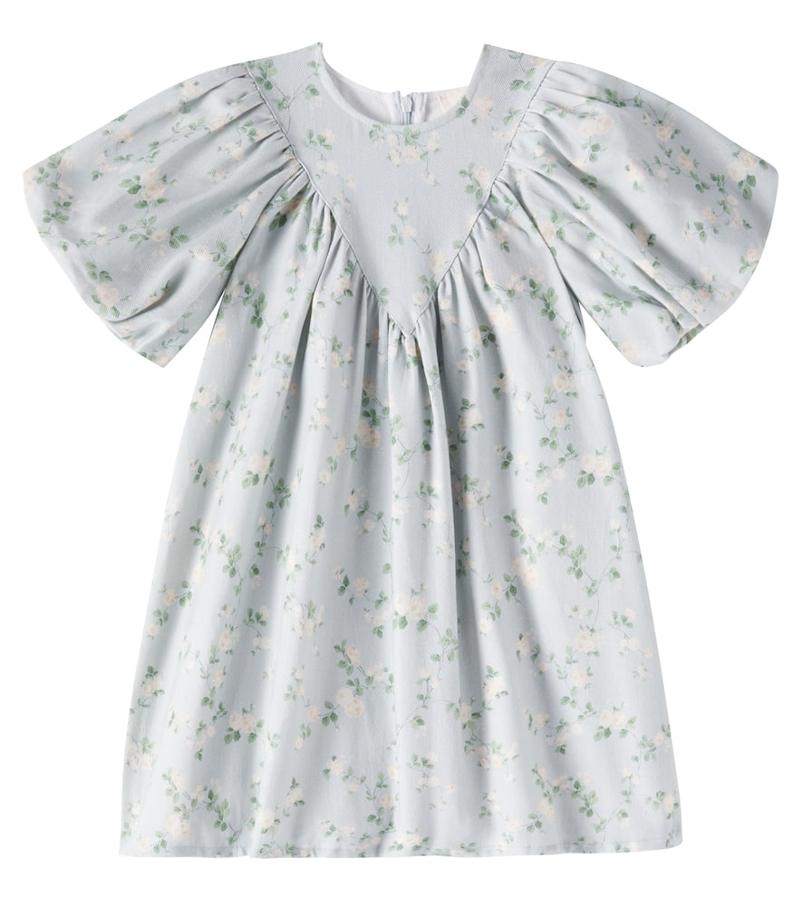 Petite Amalie Floral cotton chambray dress