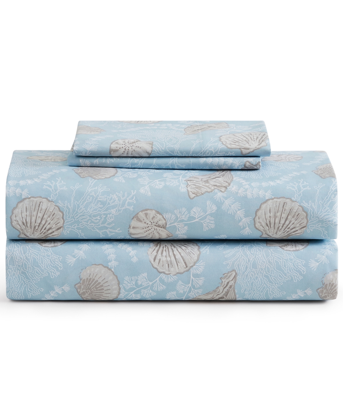 Coastal Pattern 4-Pc. Sheet Set, King - Lacy Shell