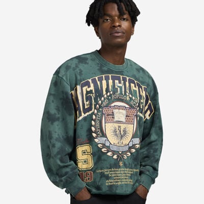 Men's Magnificence Terry Crewneck Shirt in Green