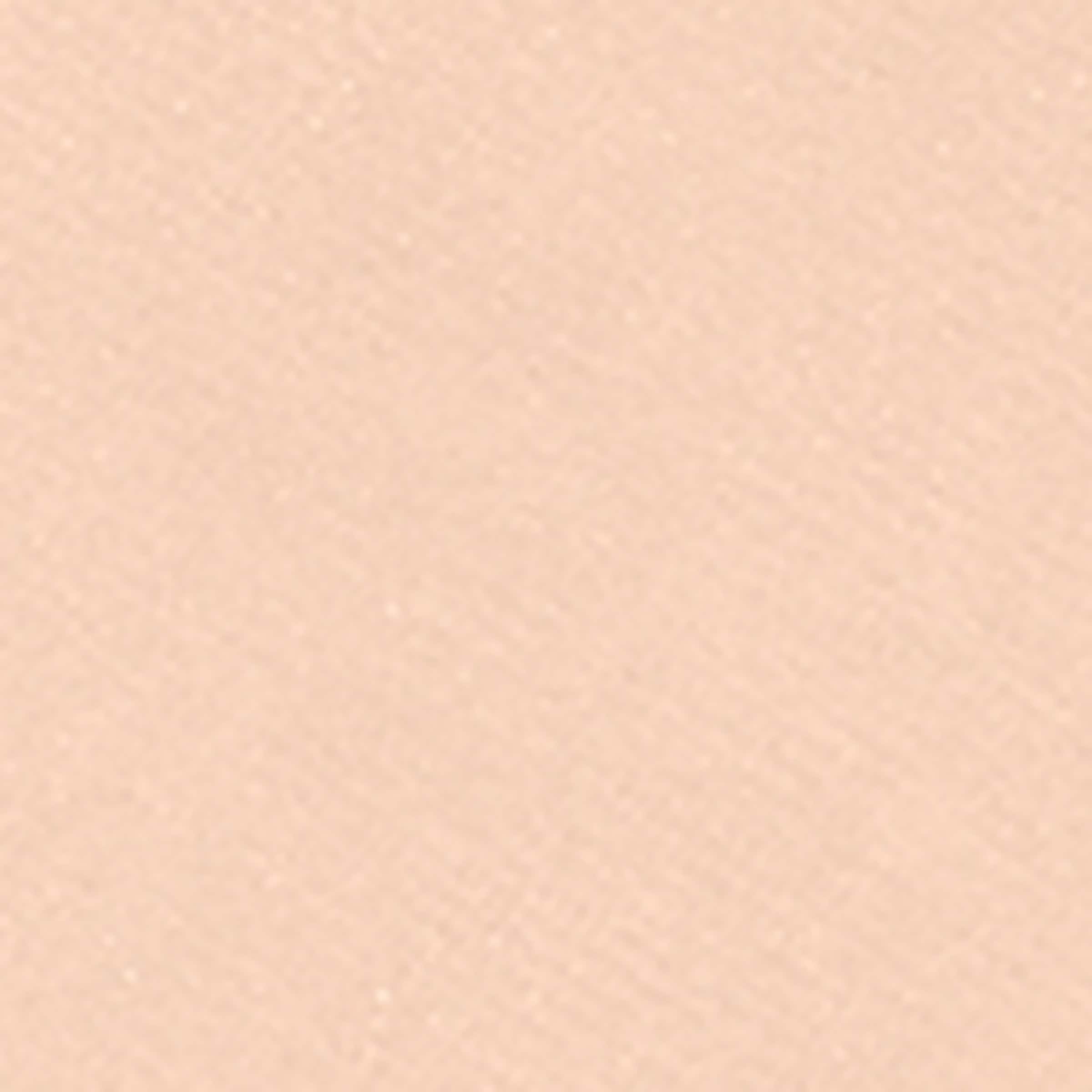 Sheer Finish Pressed Powder