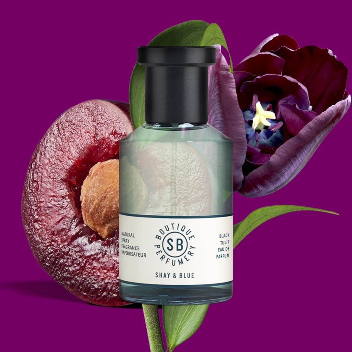 Shay and Blue Black Tulip Fragrance 100ml in Clear