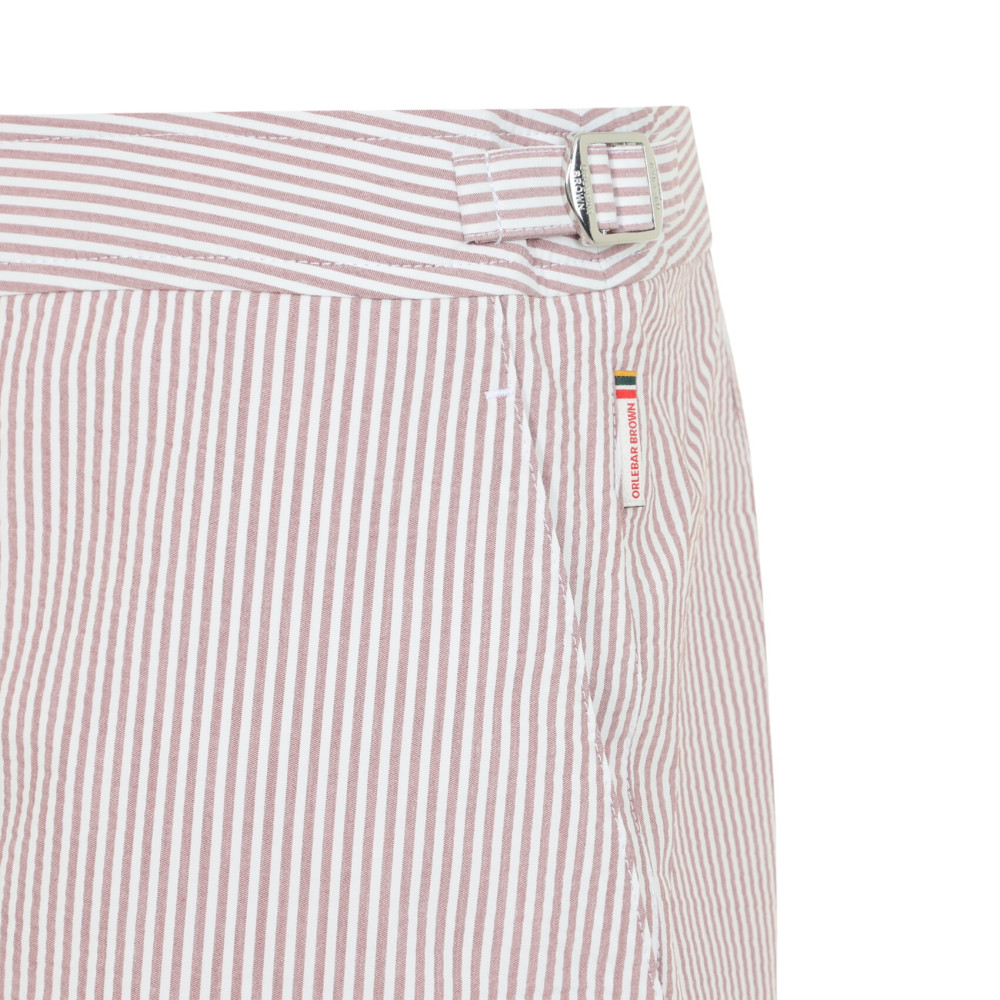 Multicolor Stripes Swim Shorts