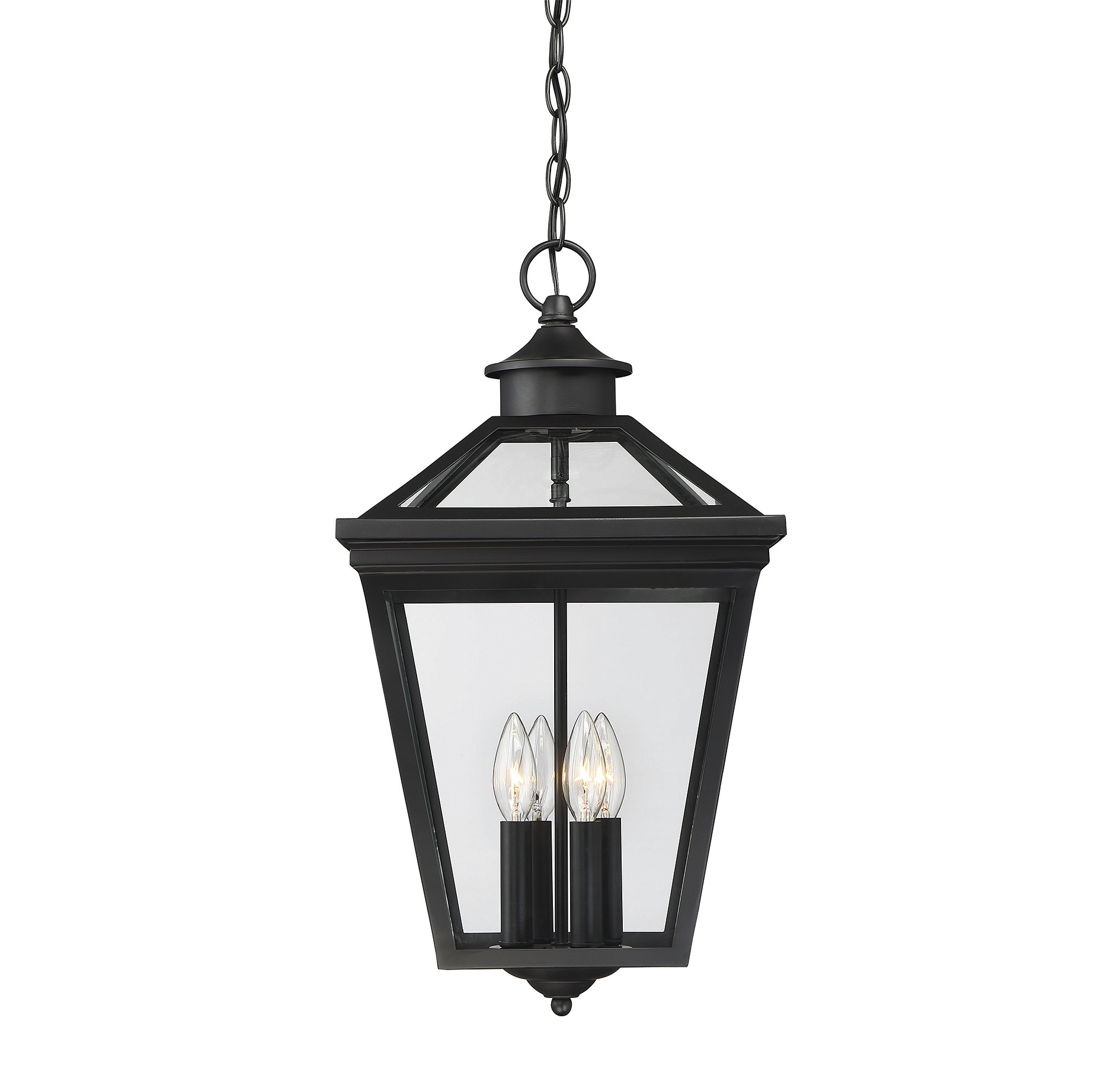 Savoy House Ellijay Steel Hanging Lantern in Black - 5-145-BK