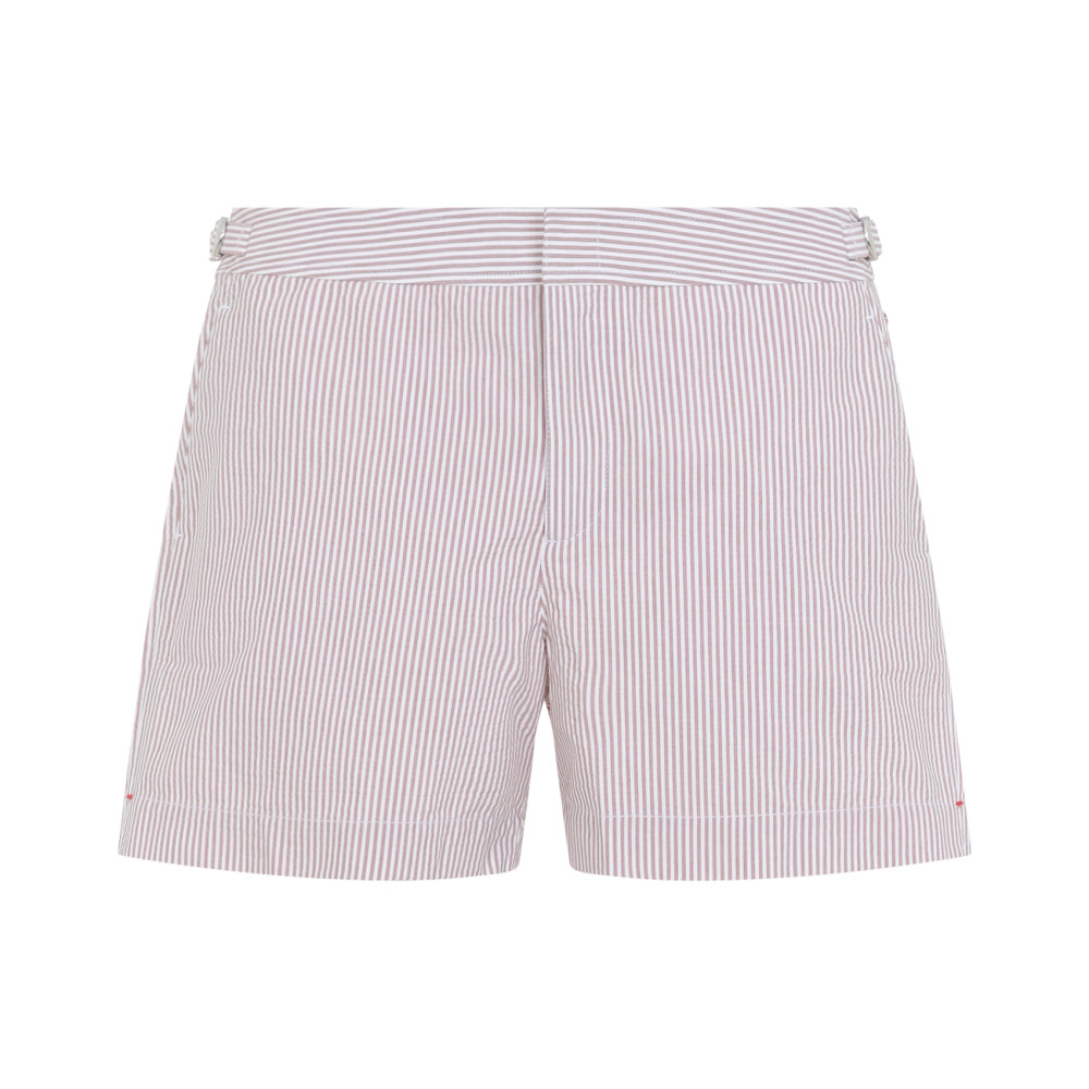 Multicolor Stripes Swim Shorts
