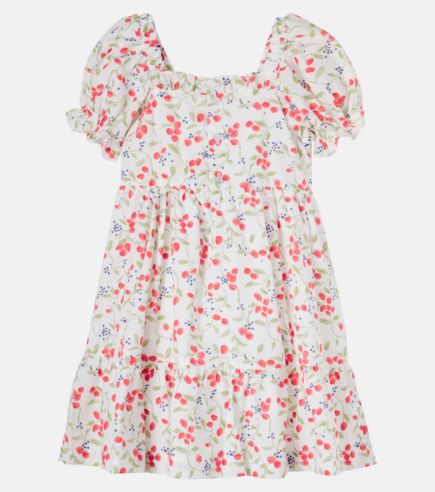 Printed cotton dress