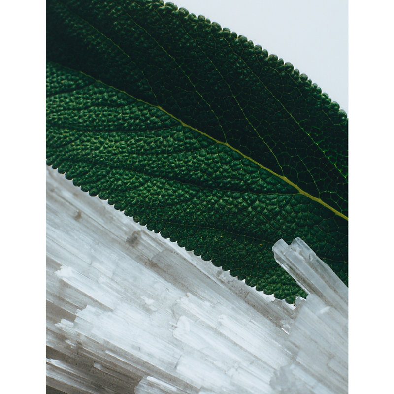 Wood Sage & Sea Salt Body & Hand Lotion 250ml