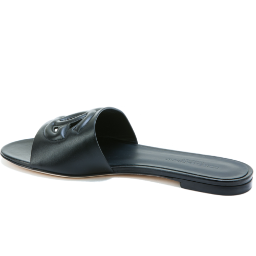 DG Millennials logo slides
