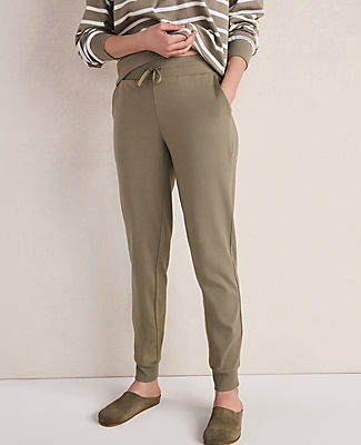 Ann Taylor Haven Well Within Organic Cotton Interlock Joggers