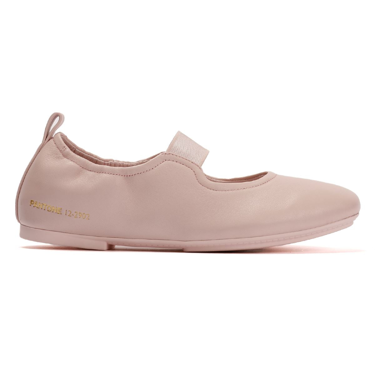 Fitflop Delicato X Pantone Poise Leather Mary-Jane