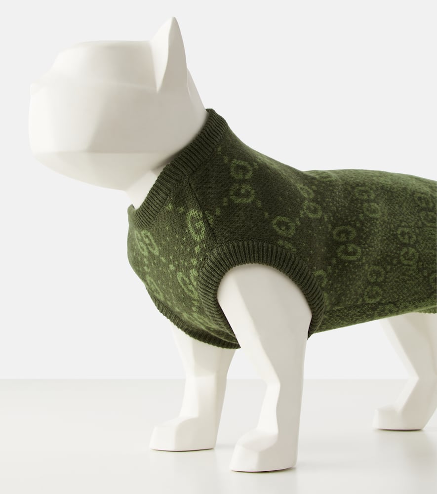 GG wool jacquard dog sweater