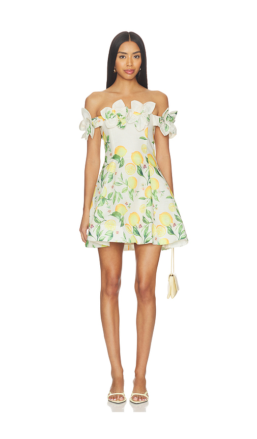 ELLIATT Hana Off The Shoulder Mini Dress in Neutral,Yellow. XL. Also in
