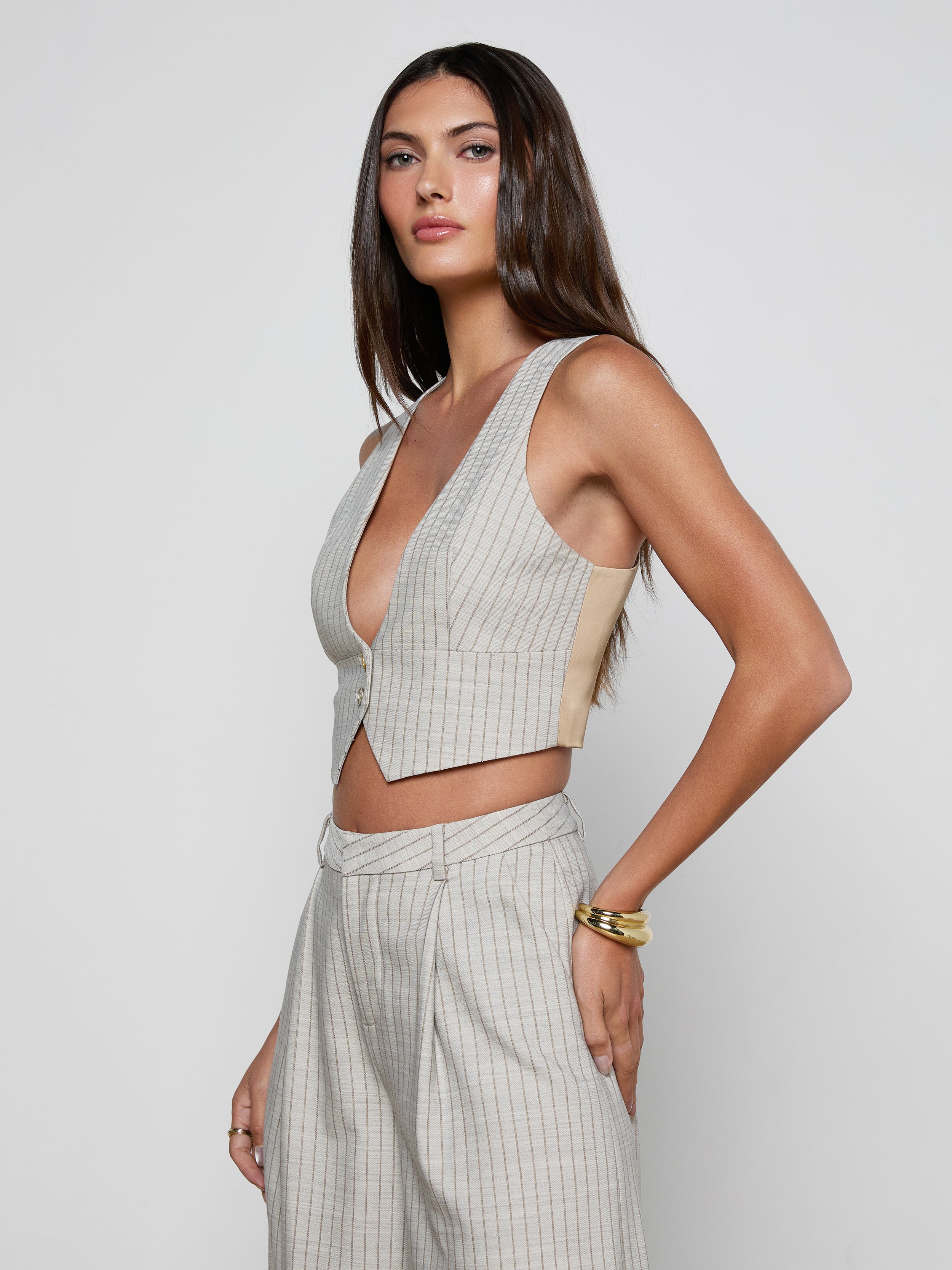 Devony Pinstriped Vest In Grey/tan Pinstripe