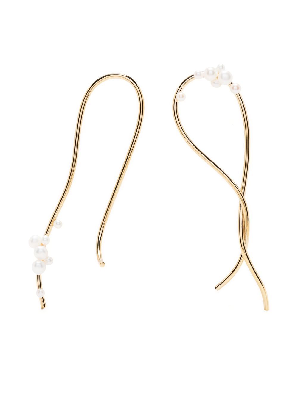 Wild Relatives drop earrings - Gold