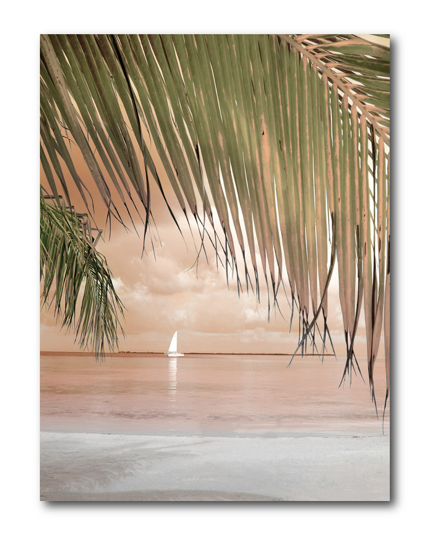 Wall Decor Peach Palm Gallery Wrapped Canvas Wall Art
