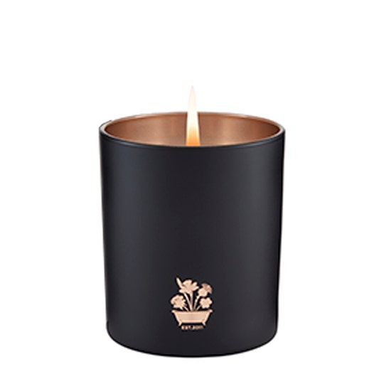 Noble isle Willow Song 200 g Candle