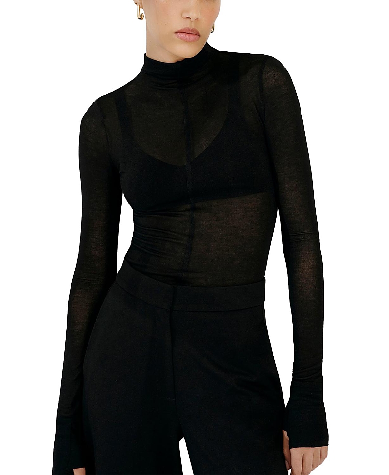Alicia Sheer Turtleneck Top