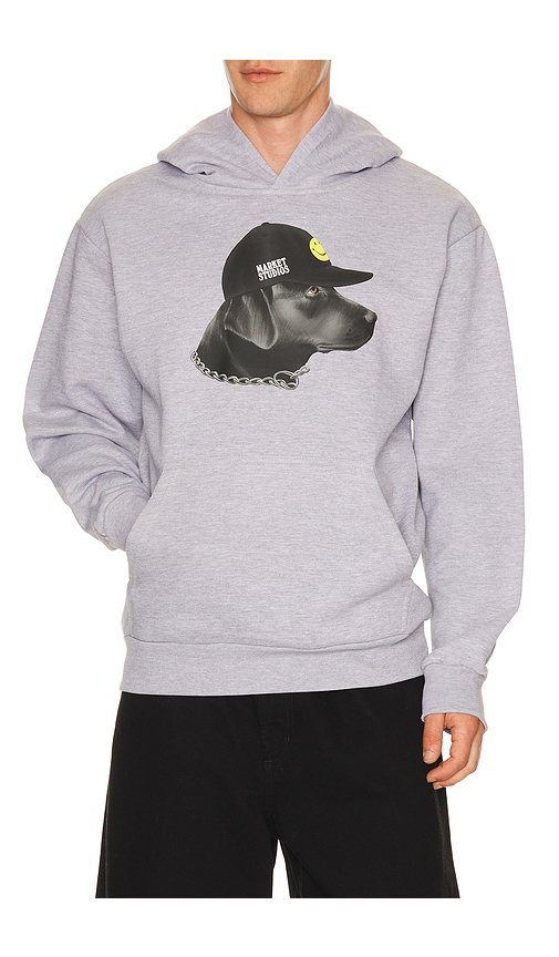 Market Smiley Dog Got Style Hoodie in Grey. L. Also in