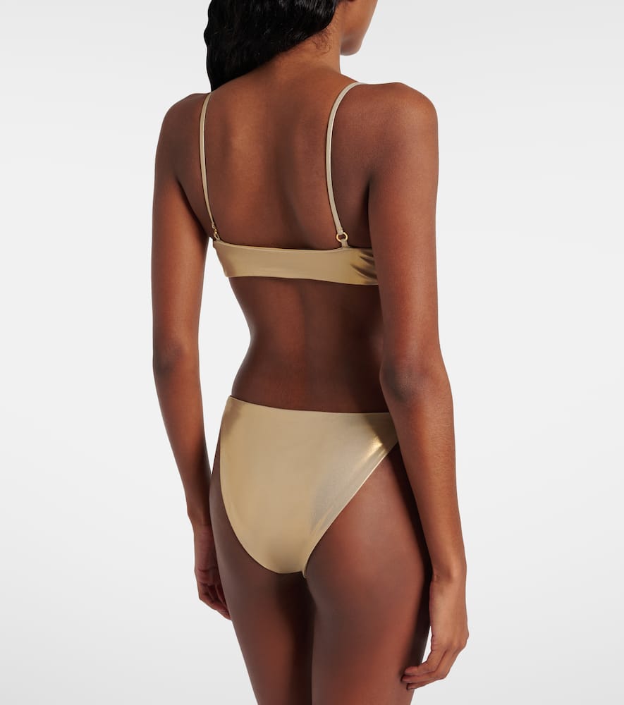 Hinge metallic bikini top