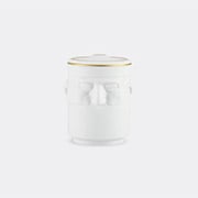 The Companion' Candle, White