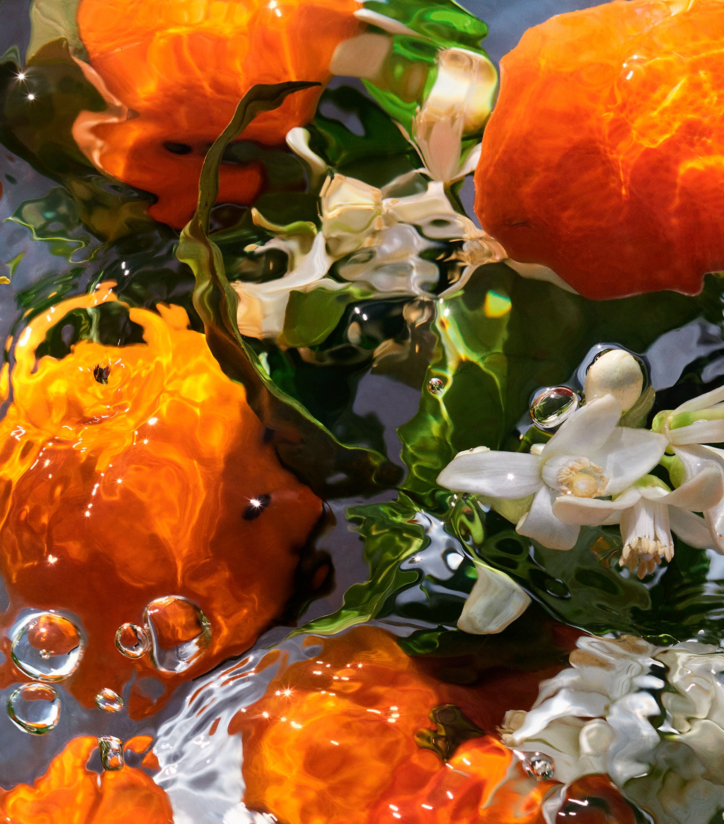 Aqua Allegoria Mandarine Basilic Eau de Toilette