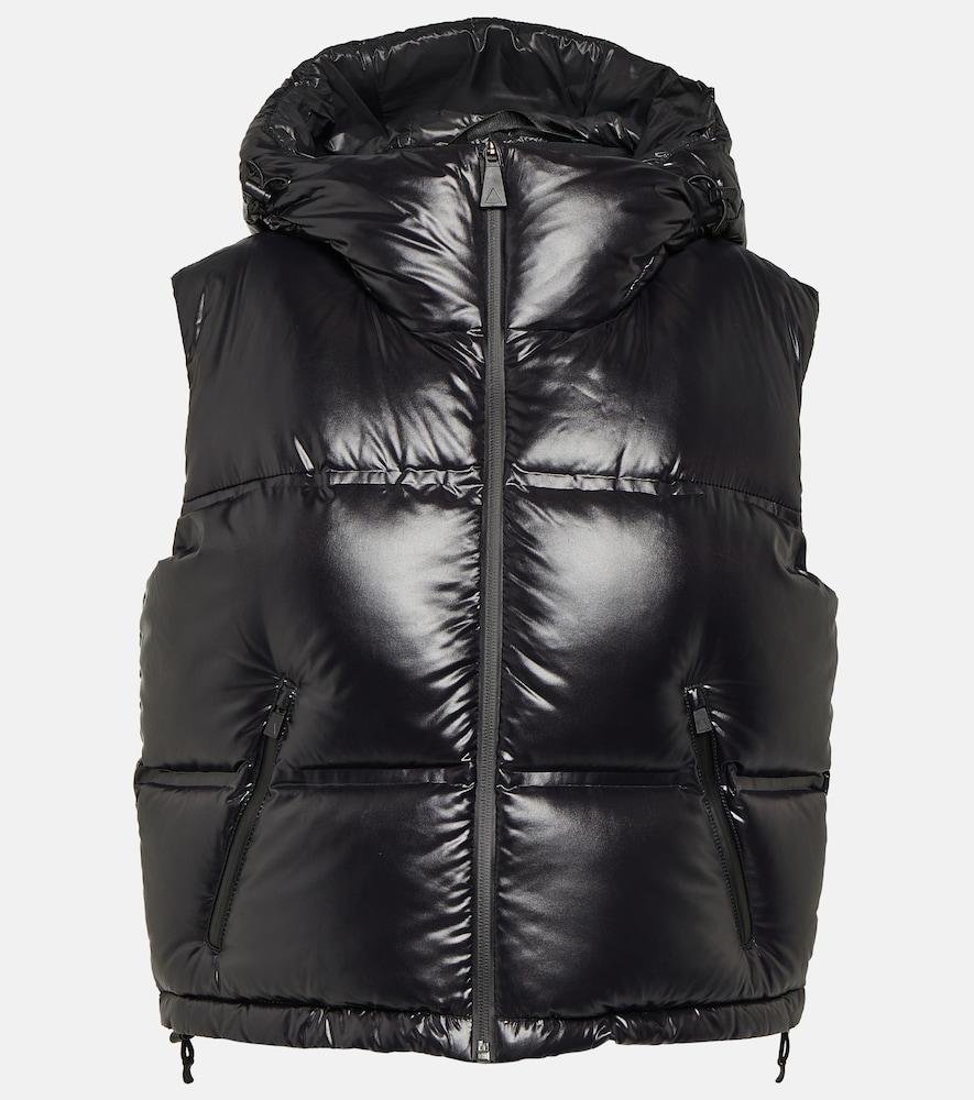 Snowbird cropped down vest
