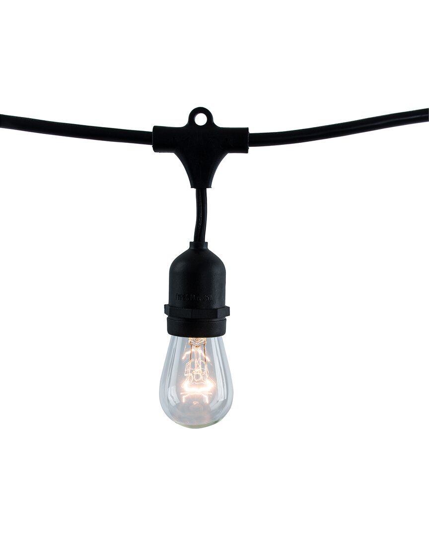 48' 15-Bulb Indoor/Outdoor String Lights
