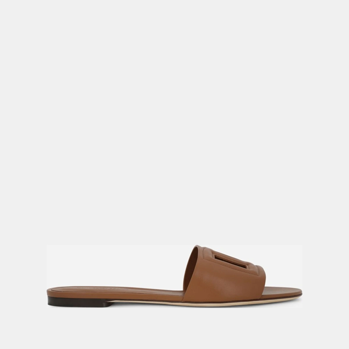 DG Millennials logo slides