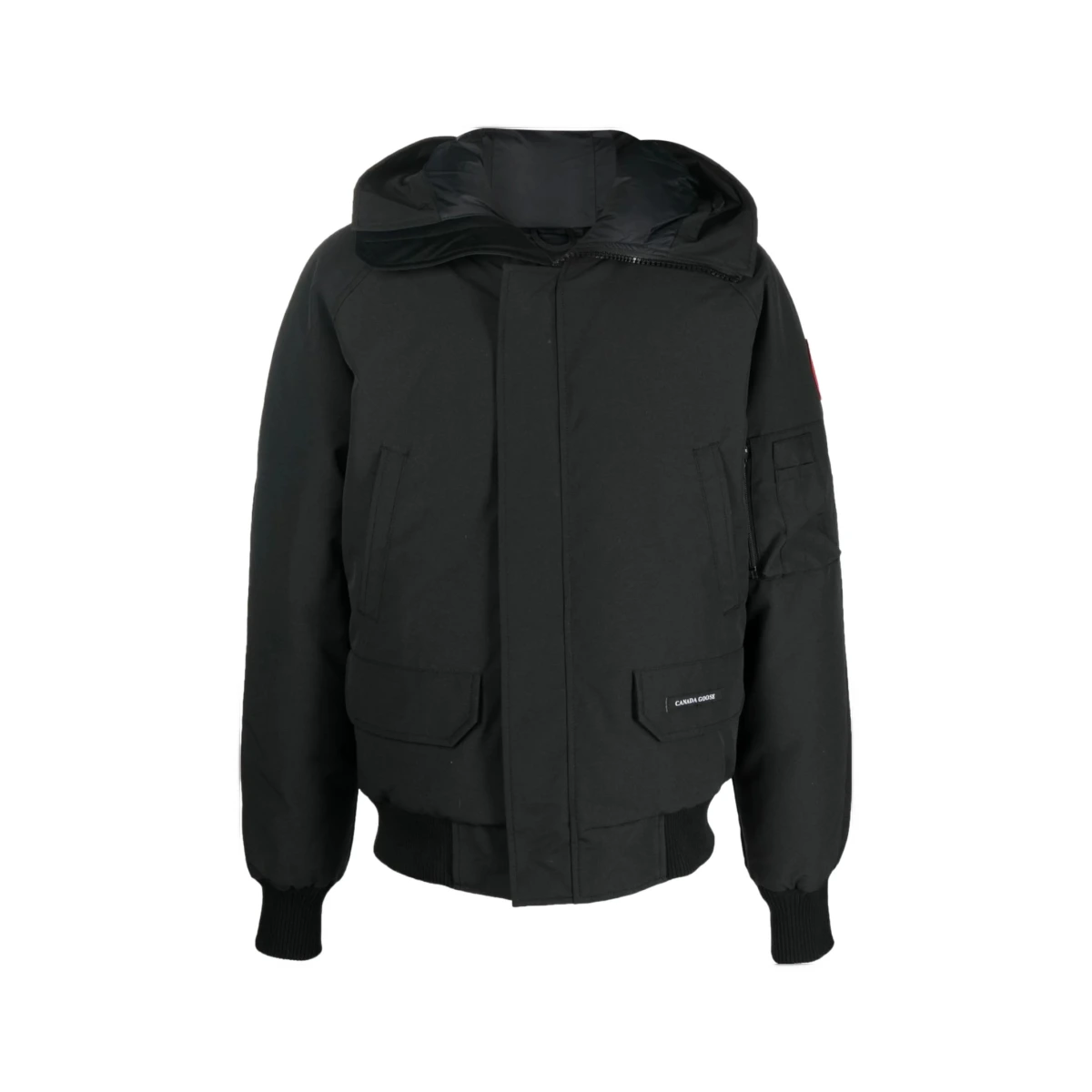 Chilliwack Puffer
