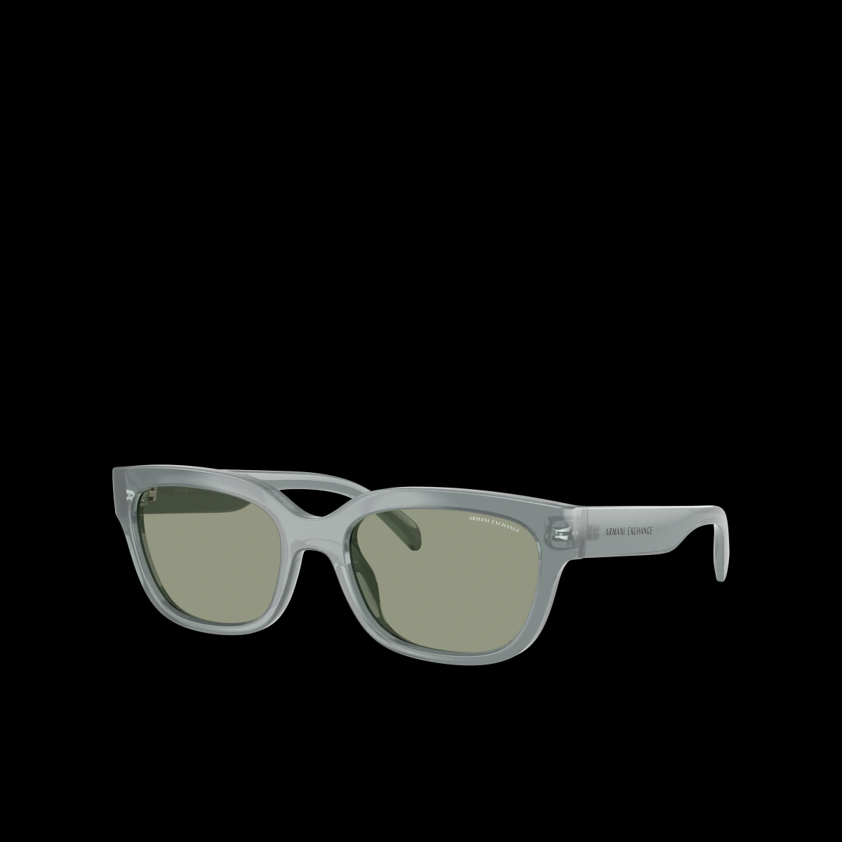 Armani Exchange Woman Sunglass AX4155SU - Frame color: Shiny Black, Lens color: Dark Grey