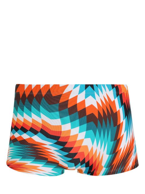 Tijuca swimming trunks - Blue