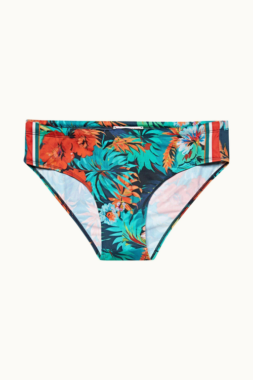 Dachshund Anemone Swim Brief — Multicolor