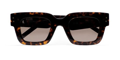 Kaleos Debella C2 Men's Sunglasses Tortoiseshell Size 48