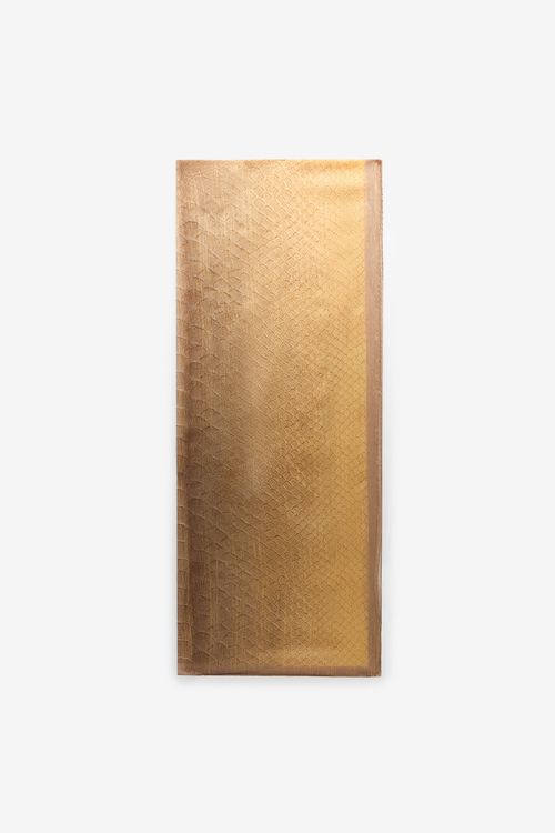 Beige-gold Silk Stole With Scale Print