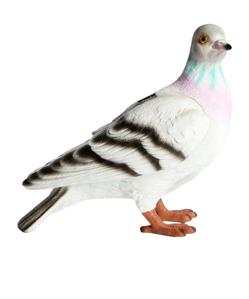 Pigeon clutch bag