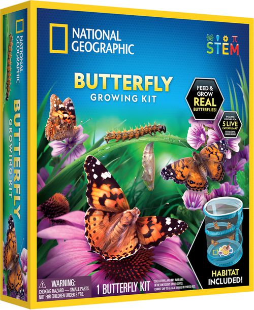 Butterfly Growing Kit - Multi-Color