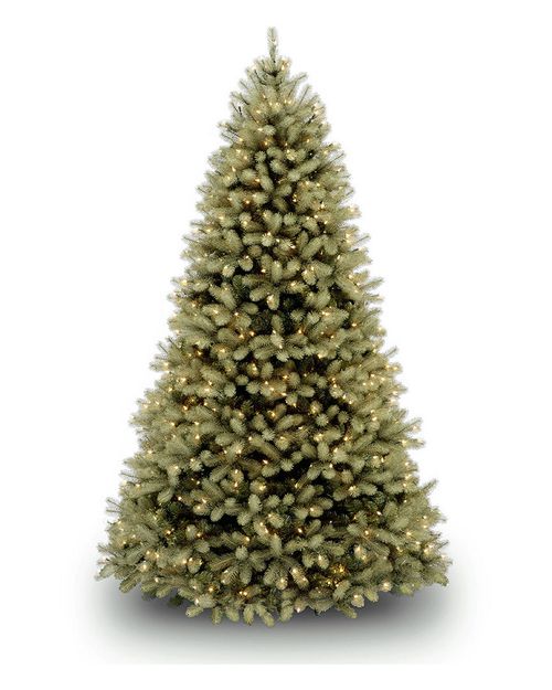 National Tree Company Douglas Fir Tree with Lights