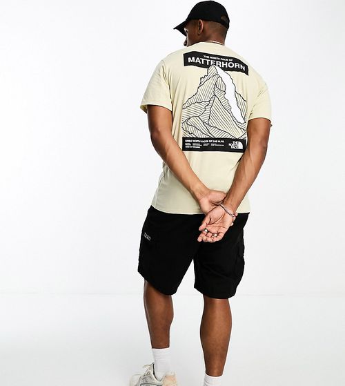 Matterhorn face T-shirt in beige - Exclusive to ASOS-Gray