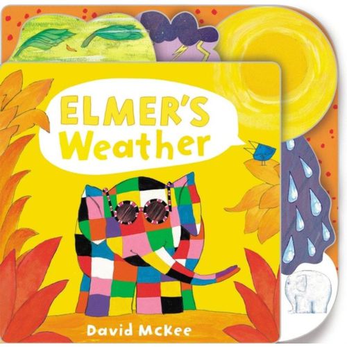 Elmer's Weather Book