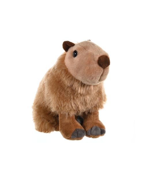 Cuddlekins Capybara Stuffed Animal, 12 Inches - Open Miscellaneous