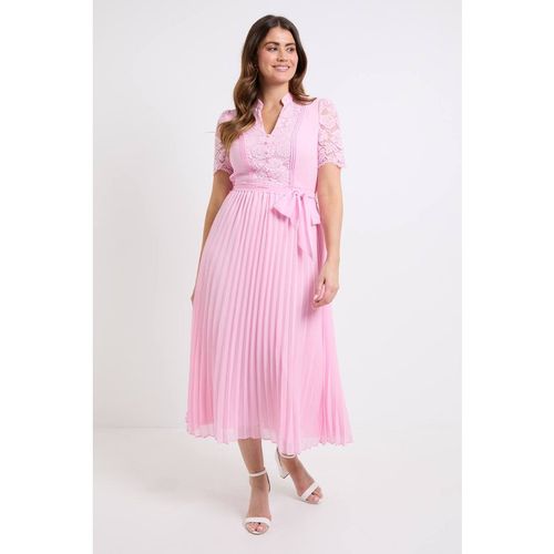 Wallis Women's Lace Collarless Pleated Midi Dress in Pink