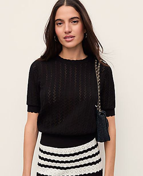 Ann Taylor Petite Pointelle Sweater Tee