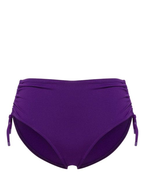 Bikini Briefs — Purple