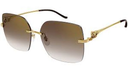 Panthere Brown Square Ladies Sunglasses CT0359S 002 60
