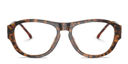 DL4022U Tortoise