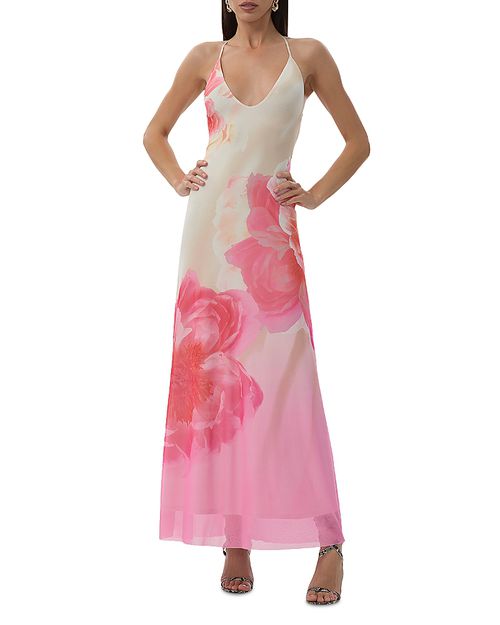 Romy Placed Floral Mesh Maxi Dress