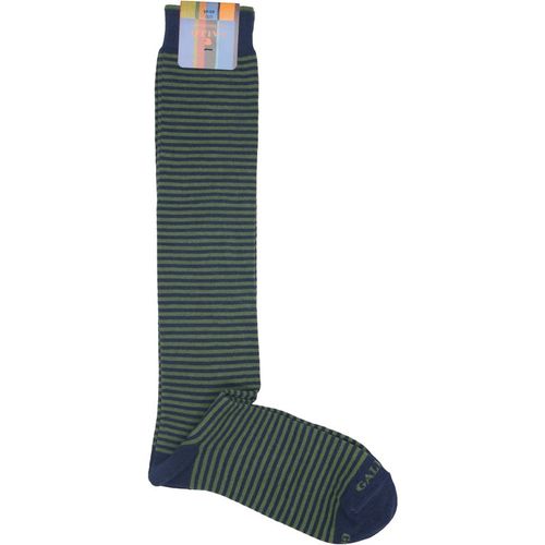 Intimo Gallo